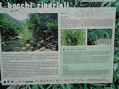 tosk2018-0206