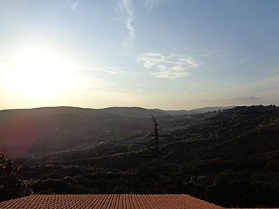 tosk2018-0508