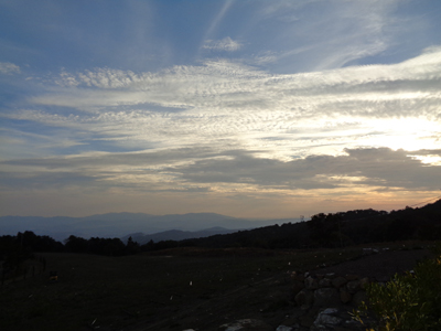 tosk2018-0575