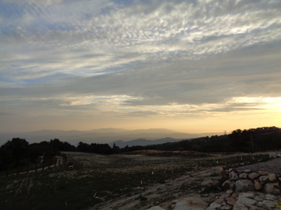 tosk2018-0577