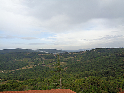 tosk2018-0584