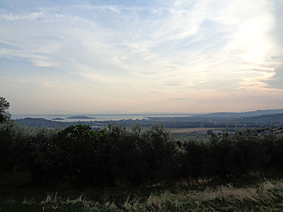 tosk2019-0824