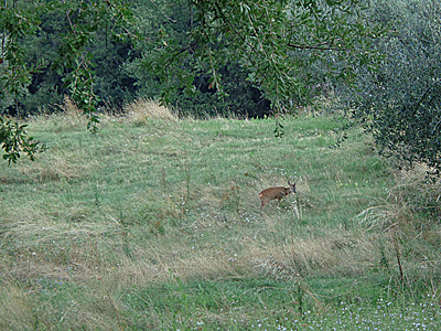 tosk2019-0826