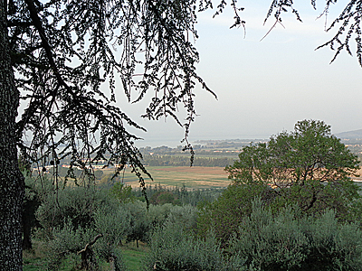 tosk2019-0827