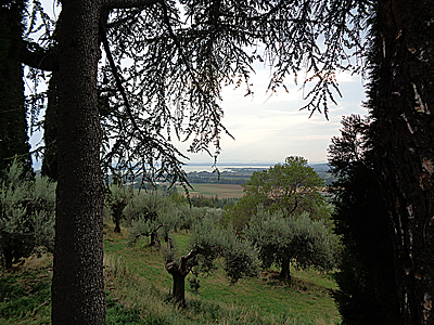 tosk2019-0833