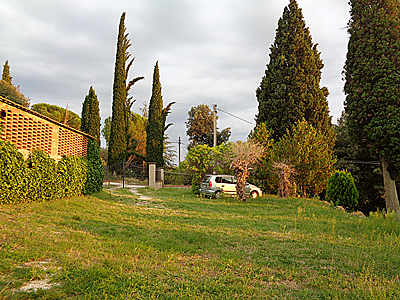 tosk2019-0847