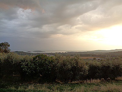 tosk2019-0852