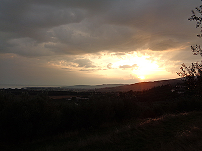 tosk2019-0854