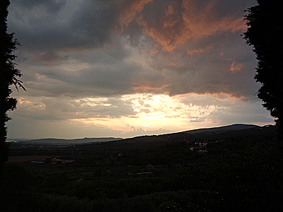 tosk2019-0855