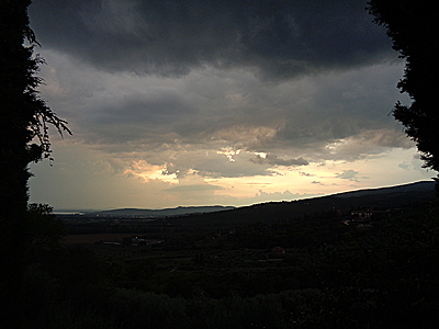 tosk2019-0856