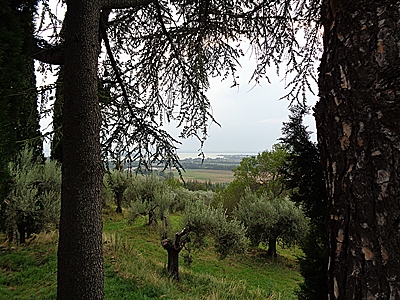 tosk2019-0876