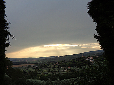 tosk2019-0879