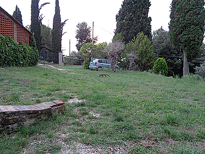 tosk2019-0884