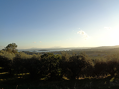 tosk2019-0925