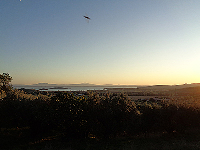 tosk2019-0945