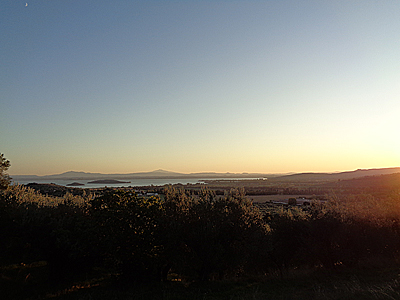 tosk2019-0946