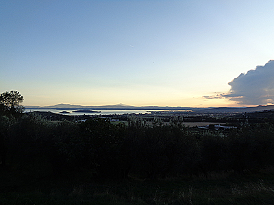 tosk2019-0964