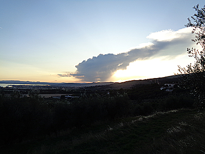 tosk2019-0965