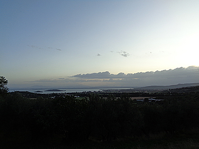 tosk2019-0981