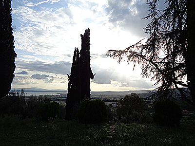 tosk2019-0988
