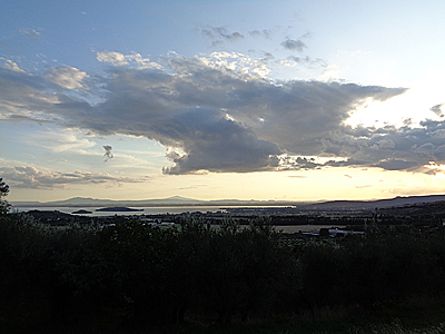 tosk2019-0990