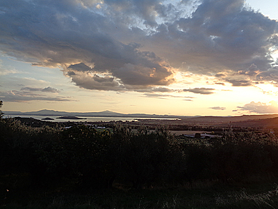 tosk2019-0993