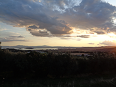tosk2019-0994