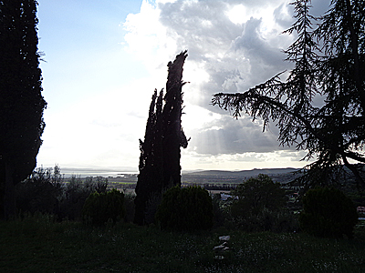 tosk2019-1002