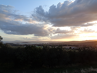tosk2019-1008