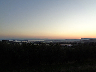 tosk2019-1099