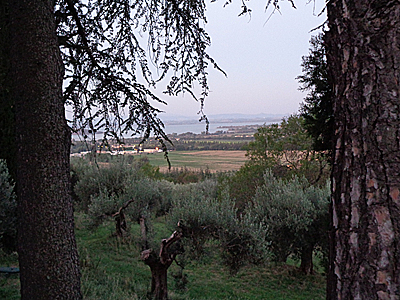 tosk2019-1108