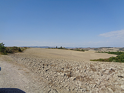 tosk2020-1277