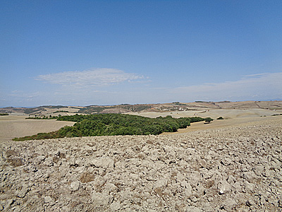 tosk2020-1278