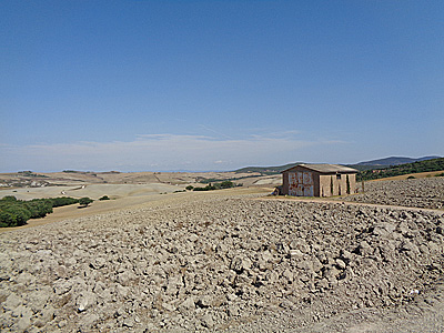 tosk2020-1279