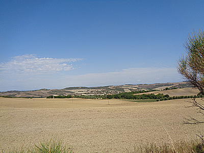 tosk2020-1291