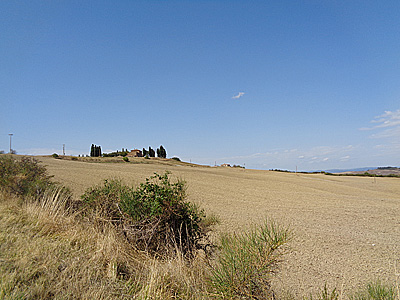 tosk2020-1293