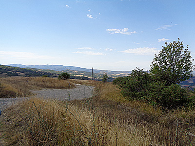 tosk2020-1296