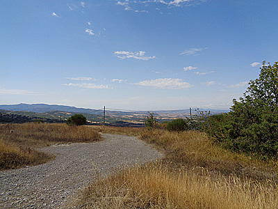 tosk2020-1297