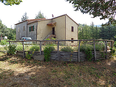 tosk2020-1307