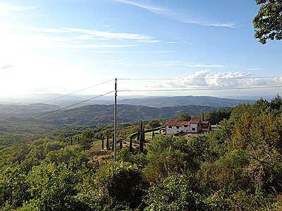 tosk2020-1346