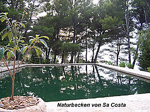 Costa-neu33