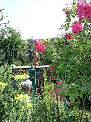 garten2007/08-06