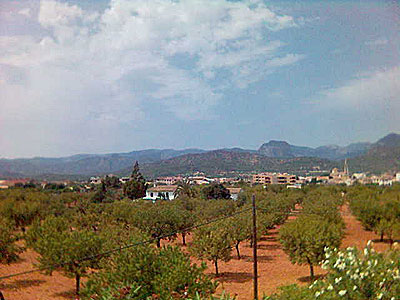 Mallorca 20.08.2005-28 - Anisalim, Blick auf Binissalem im Weinanbaugebiet
