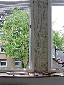fensterneu3336