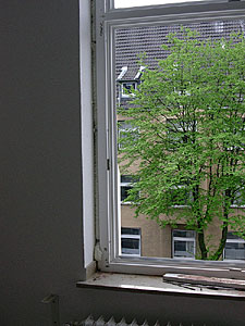 fensterneu3337