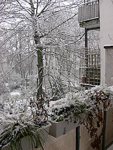 schnee08-1