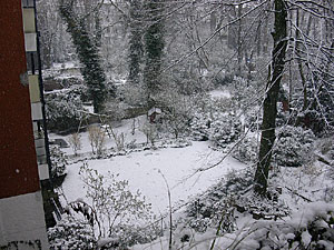 schnee08-2