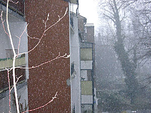schnee08-5