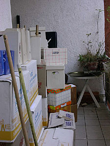teppich054