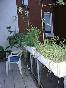 wohnung337